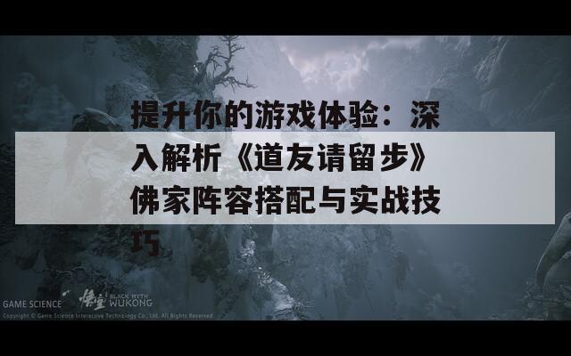 提升你的游戏体验：深入解析《道友请留步》佛家阵容搭配与实战技巧