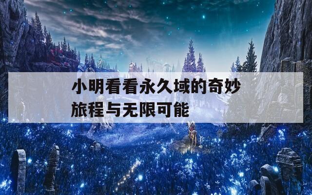 小明看看永久域的奇妙旅程与无限可能