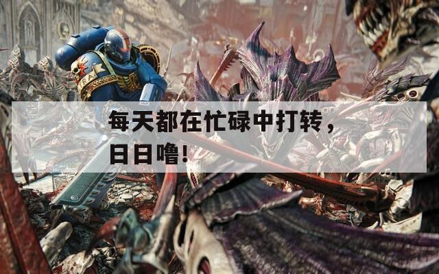 每天都在忙碌中打转，日日噜！