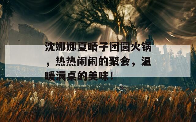 沈娜娜夏晴子团圆火锅，热热闹闹的聚会，温暖满桌的美味！