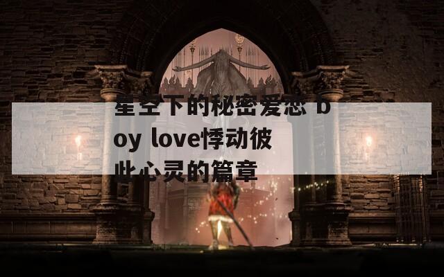 星空下的秘密爱恋 boy love悸动彼此心灵的篇章