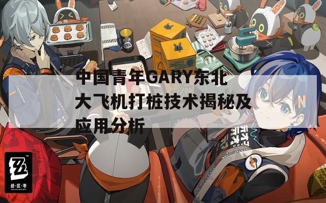 中国青年GARY东北大飞机打桩技术揭秘及应用分析