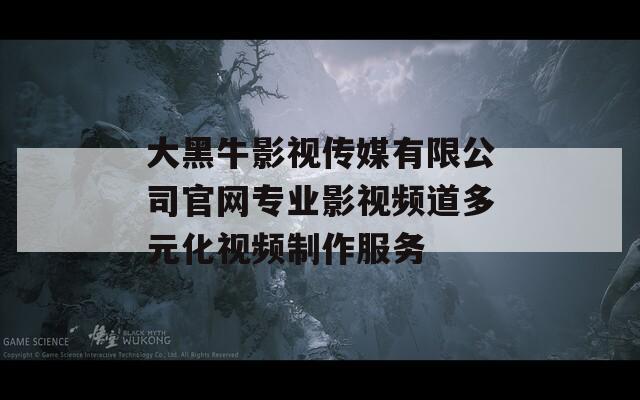 大黑牛影视传媒有限公司官网专业影视频道多元化视频制作服务