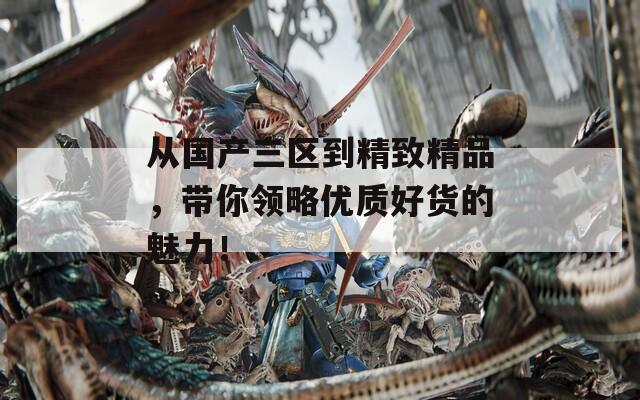 从国产三区到精致精品，带你领略优质好货的魅力！