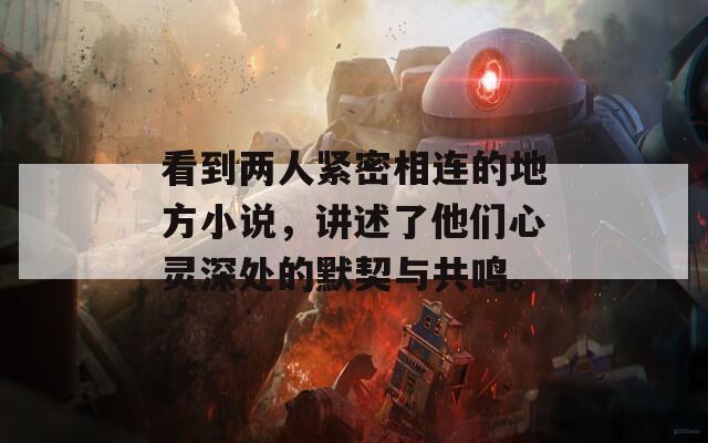 看到两人紧密相连的地方小说，讲述了他们心灵深处的默契与共鸣。