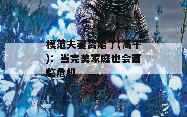 模范夫妻离婚了(高干)：当完美家庭也会面临危机