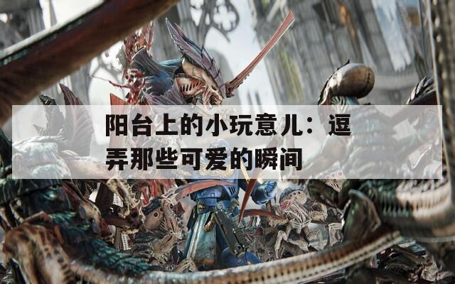 阳台上的小玩意儿：逗弄那些可爱的瞬间