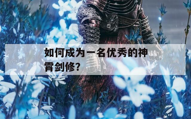 如何成为一名优秀的神霄剑修？