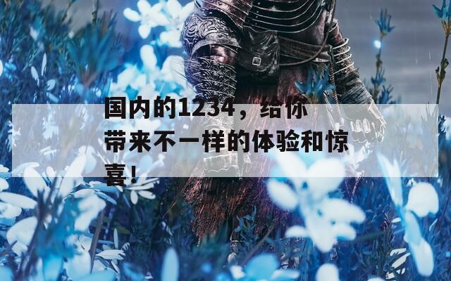 国内的1234，给你带来不一样的体验和惊喜！