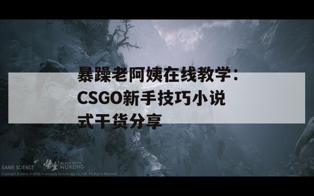 暴躁老阿姨在线教学：CSGO新手技巧小说式干货分享