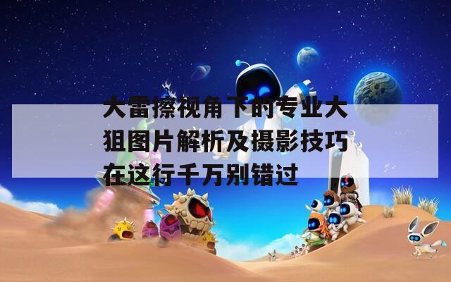 大雷擦视角下的专业大狙图片解析及摄影技巧在这行千万别错过