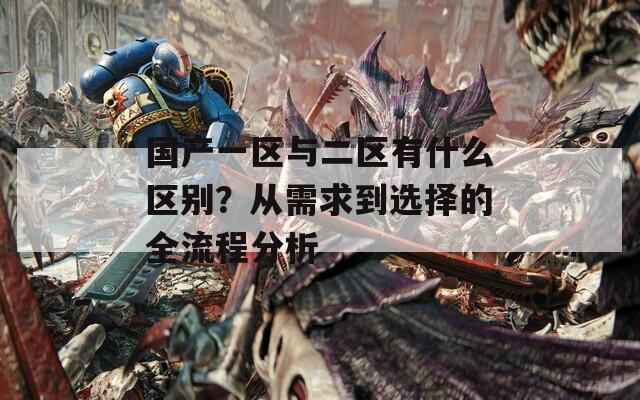 国产一区与二区有什么区别？从需求到选择的全流程分析