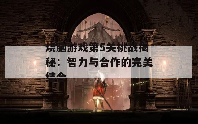 烧脑游戏第5关挑战揭秘：智力与合作的完美结合