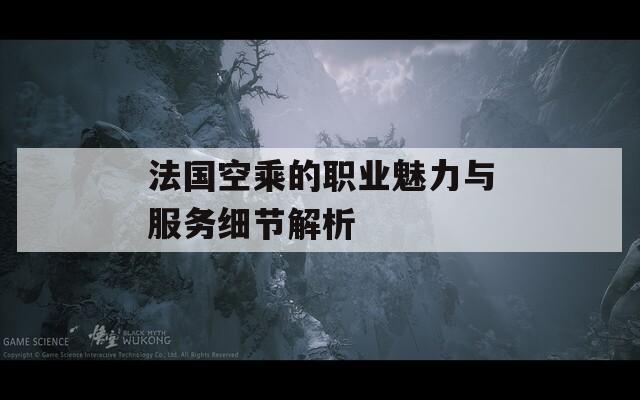 法国空乘的职业魅力与服务细节解析