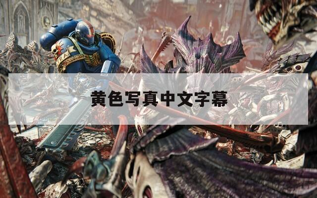黄色写真中文字幕