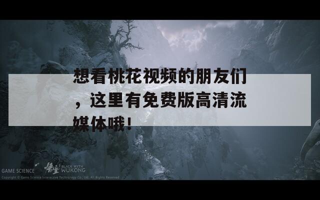 想看桃花视频的朋友们，这里有免费版高清流媒体哦！