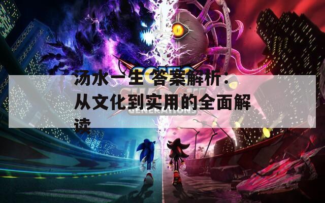 汤水一生 答案解析：从文化到实用的全面解读