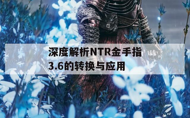 深度解析NTR金手指3.6的转换与应用