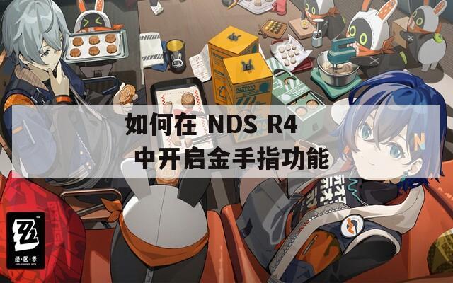 如何在 NDS R4 中开启金手指功能