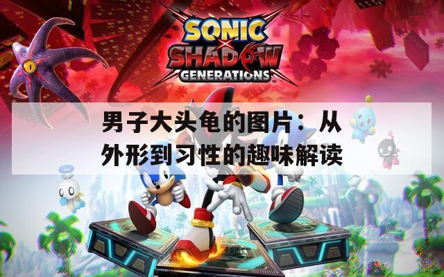 男子大头龟的图片：从外形到习性的趣味解读