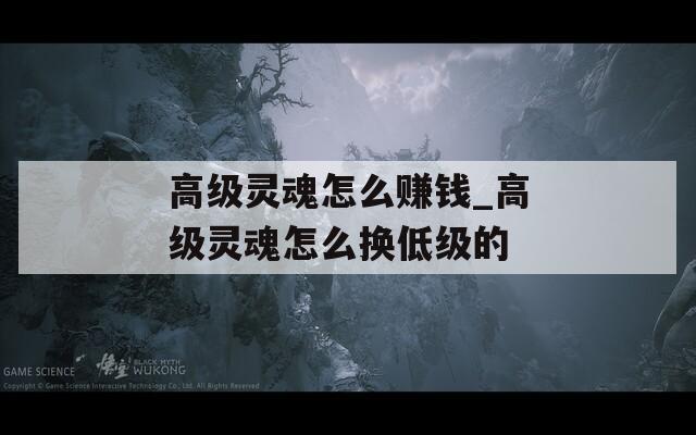 高级灵魂怎么赚钱_高级灵魂怎么换低级的