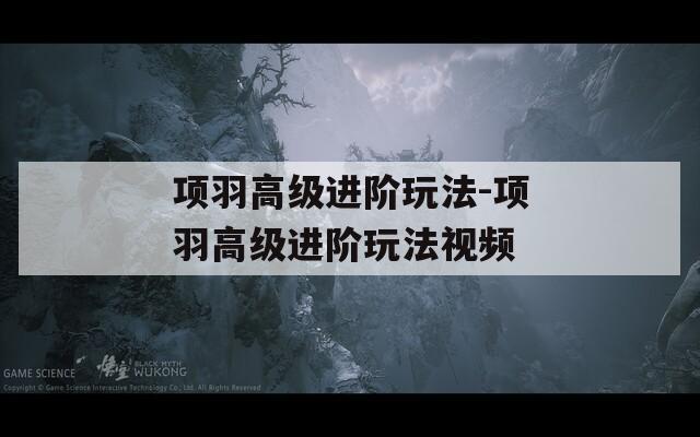 项羽高级进阶玩法-项羽高级进阶玩法视频