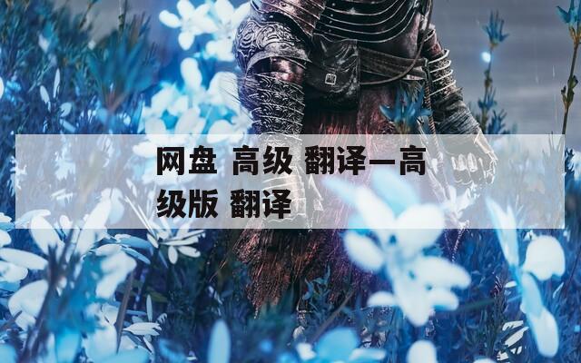 网盘 高级 翻译—高级版 翻译