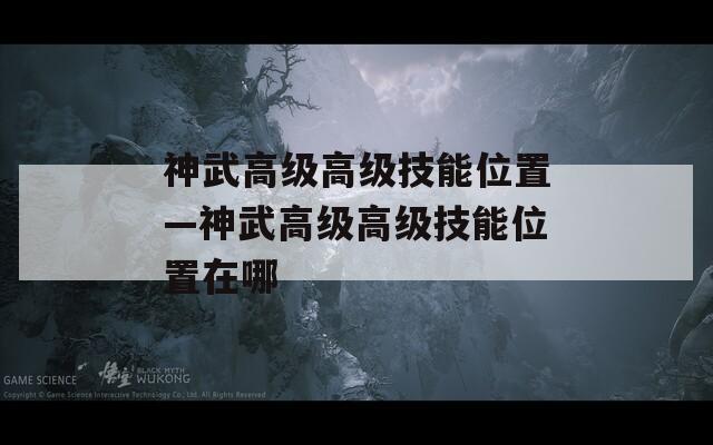 神武高级高级技能位置—神武高级高级技能位置在哪
