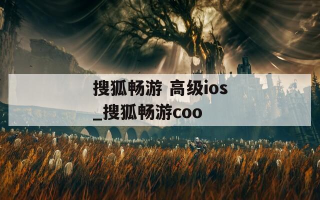 搜狐畅游 高级ios_搜狐畅游coo