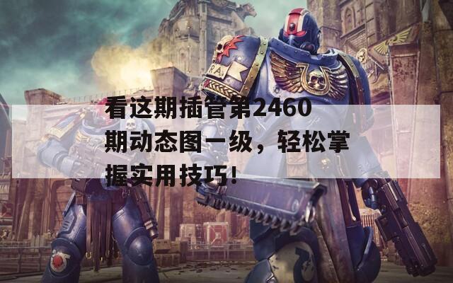 看这期插管第2460期动态图一级，轻松掌握实用技巧！