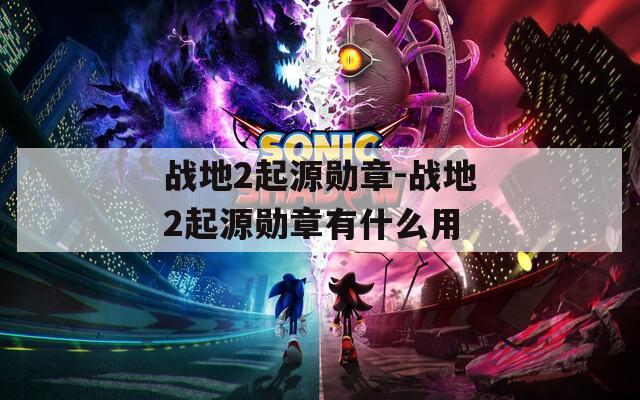 战地2起源勋章-战地2起源勋章有什么用
