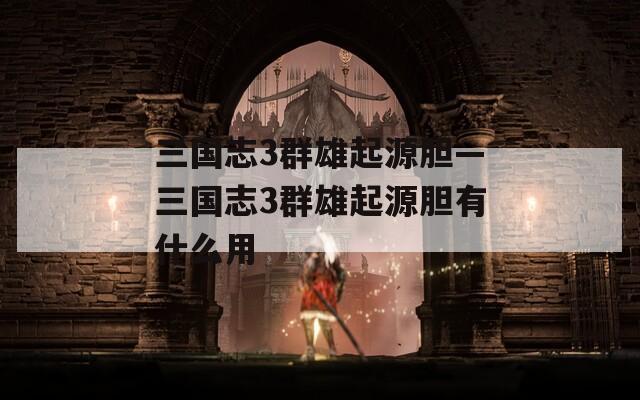三国志3群雄起源胆—三国志3群雄起源胆有什么用