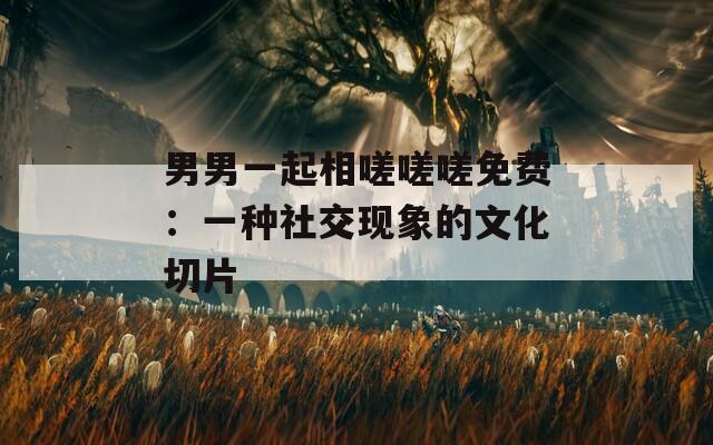 男男一起相嗟嗟嗟免费：一种社交现象的文化切片