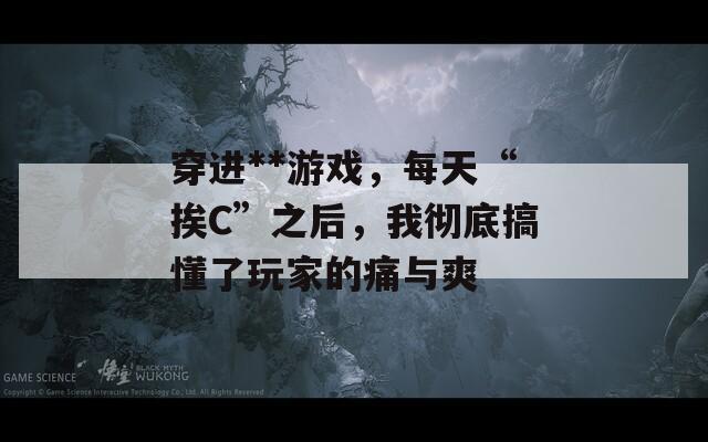 穿进**游戏，每天“挨C”之后，我彻底搞懂了玩家的痛与爽