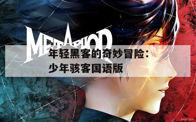 年轻黑客的奇妙冒险：少年骇客国语版