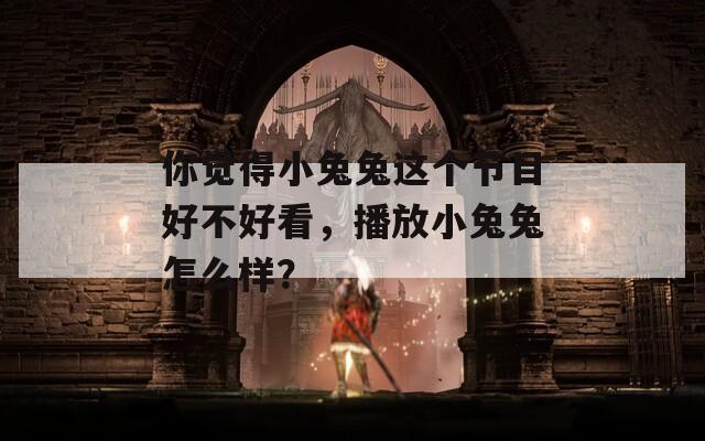 你觉得小兔兔这个节目好不好看，播放小兔兔怎么样？