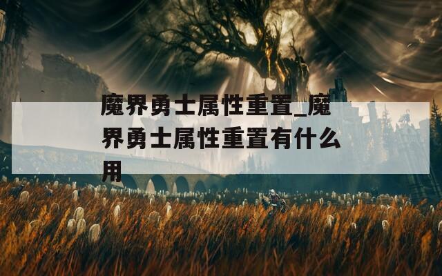 魔界勇士属性重置_魔界勇士属性重置有什么用