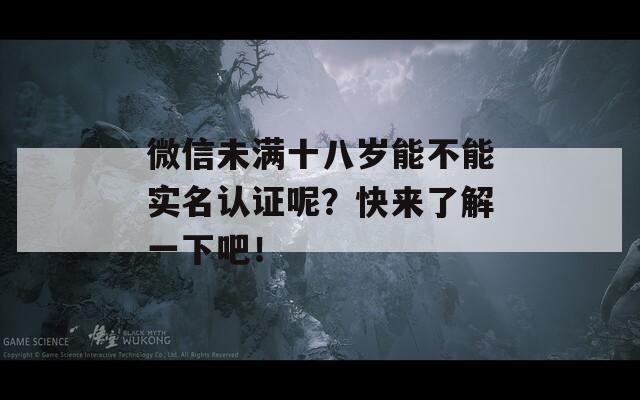 微信未满十八岁能不能实名认证呢？快来了解一下吧！