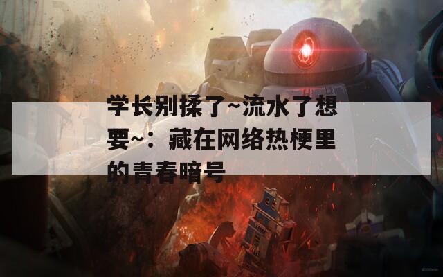 学长别揉了～流水了想要～：藏在网络热梗里的青春暗号