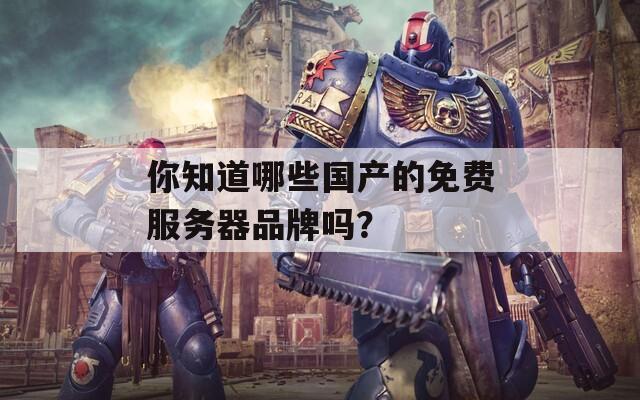 你知道哪些国产的免费服务器品牌吗？