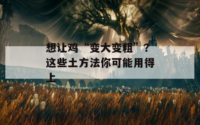 想让鸡“变大变粗”？这些土方法你可能用得上