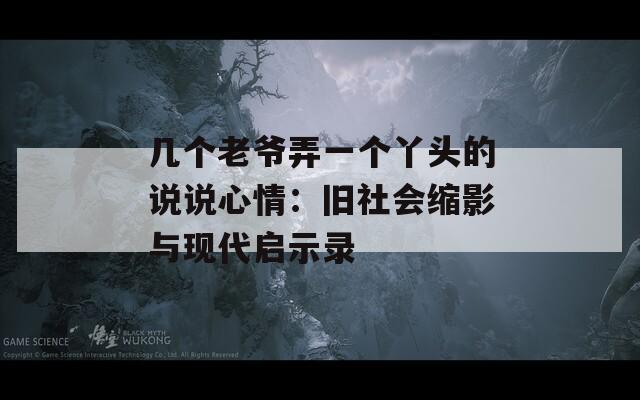 几个老爷弄一个丫头的说说心情：旧社会缩影与现代启示录