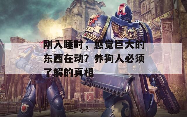 刚入睡时，感觉巨大的东西在动？养狗人必须了解的真相