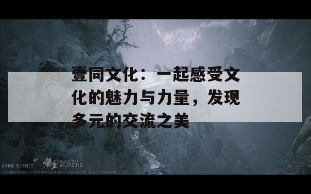 壹同文化：一起感受文化的魅力与力量，发现多元的交流之美
