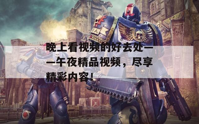 晚上看视频的好去处——午夜精品视频，尽享精彩内容！