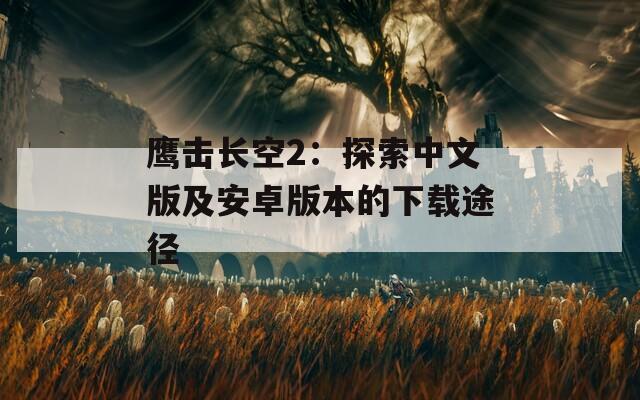 鹰击长空2：探索中文版及安卓版本的下载途径