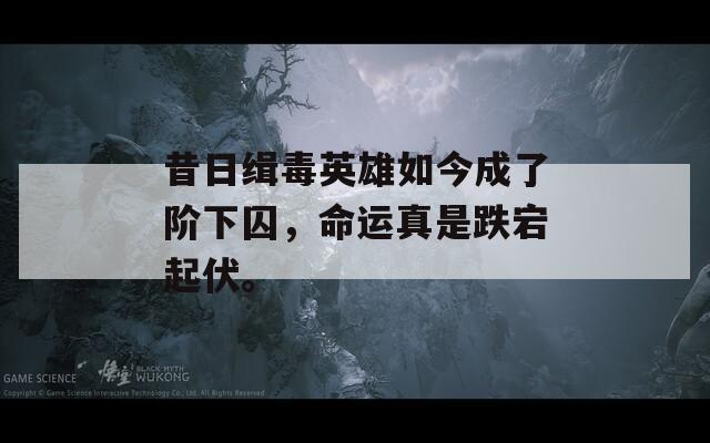 昔日缉毒英雄如今成了阶下囚，命运真是跌宕起伏。