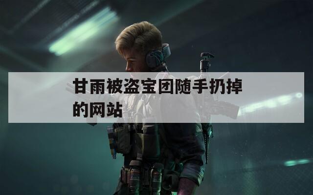 甘雨被盗宝团随手扔掉的网站