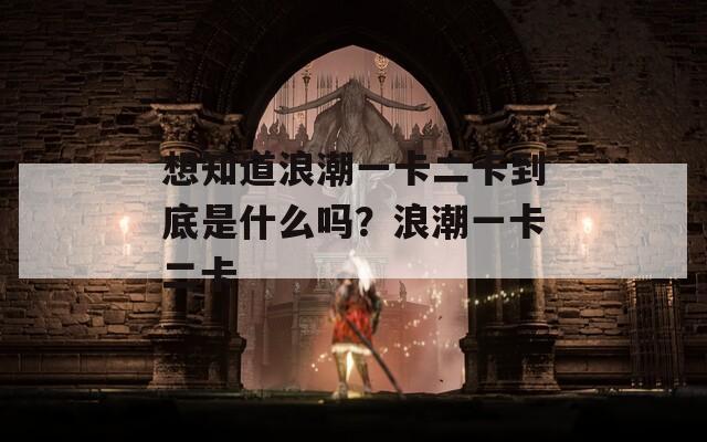 想知道浪潮一卡二卡到底是什么吗？浪潮一卡二卡