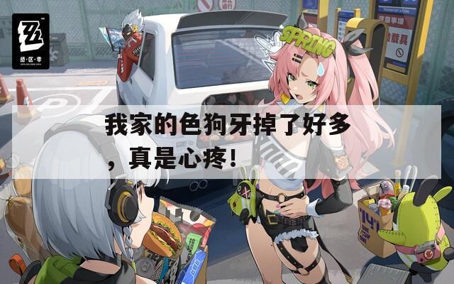 我家的色狗牙掉了好多，真是心疼！